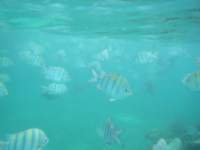 dscf0418_small.jpg