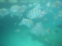 dscf0419_small.jpg