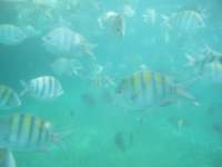 dscf0421_small.jpg