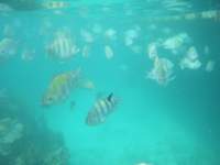 dscf0428_small.jpg
