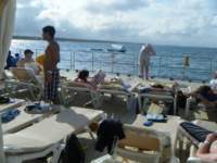 dscf0437_small.jpg
