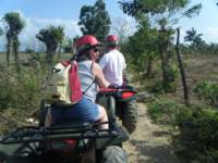 dscf0446_small.jpg