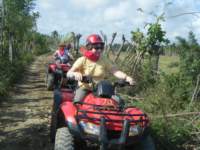 dscf0447_small.jpg