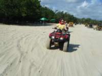 dscf0450_small.jpg