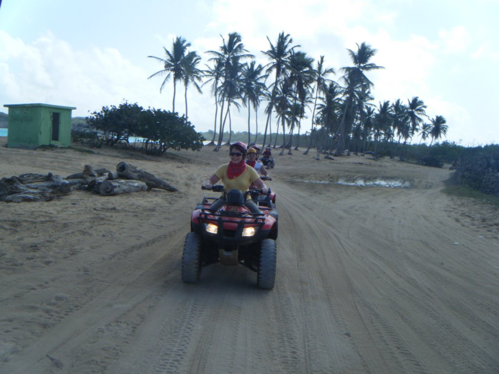dscf0460.jpg