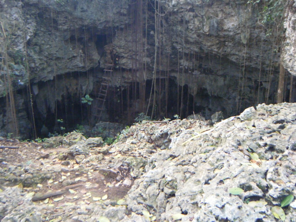 dscf0478.jpg