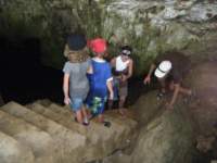 dscf0486_small.jpg
