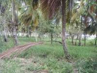 dscf0495_small.jpg