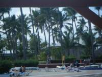 dscf0509_small.jpg