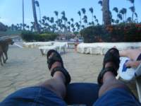 dscf0511_small.jpg