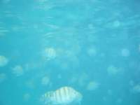 dscf0540_small.jpg