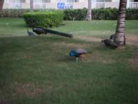 dscf0547_small.jpg