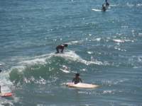 dscf1433_small.jpg