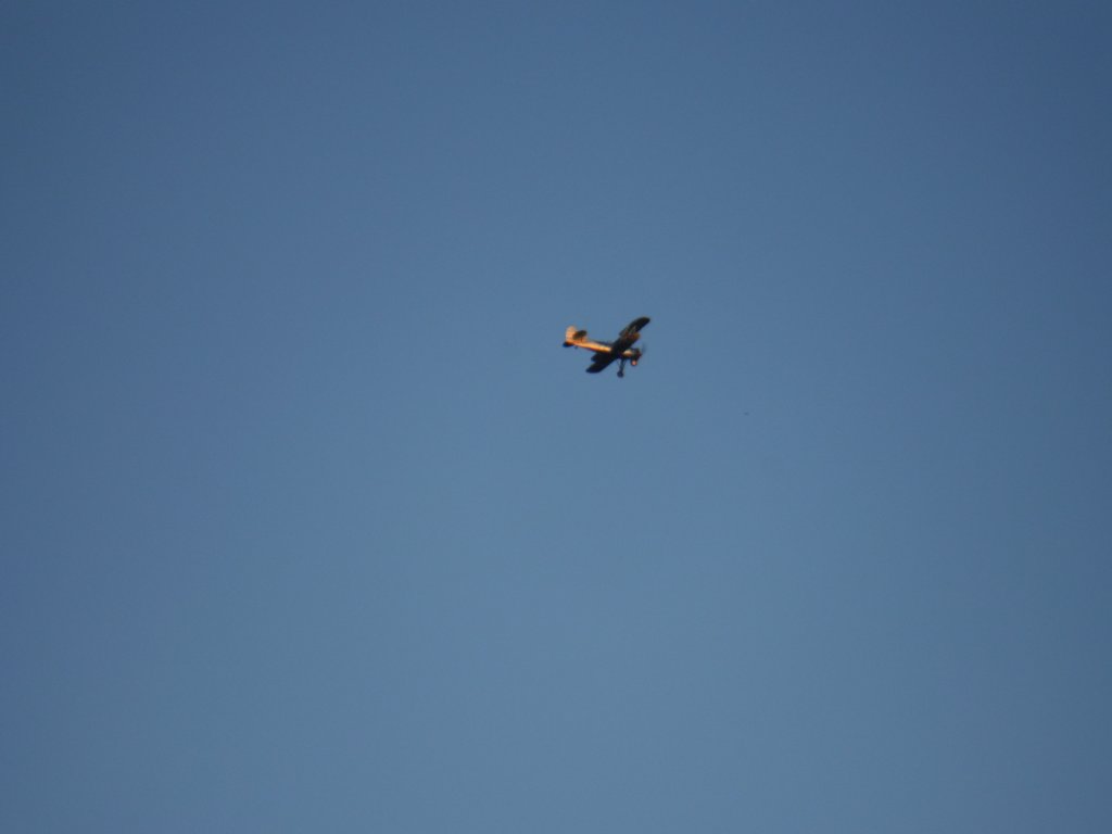 dscf1462.jpg