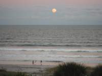 dscf1474_small.jpg