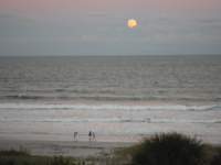 dscf1475_small.jpg