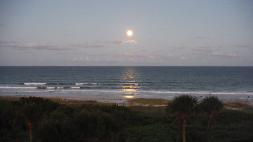 dscf1489.jpg