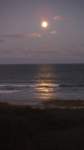 dscf1490_small.jpg