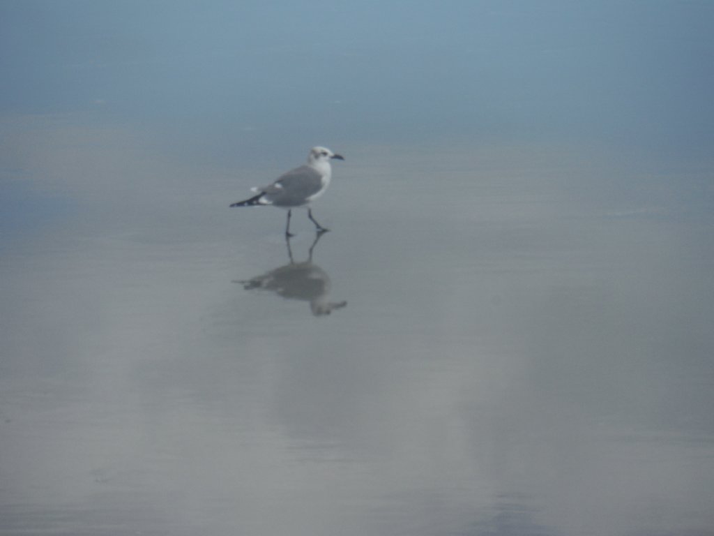 dscf1520.jpg