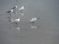 dscf1526_small.jpg