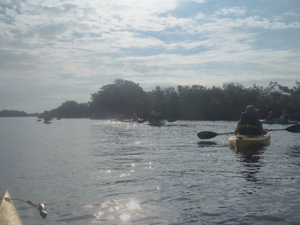 dscf1660.jpg