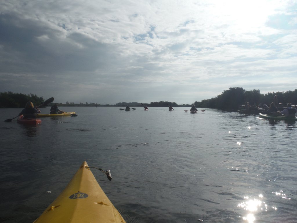 dscf1664.jpg