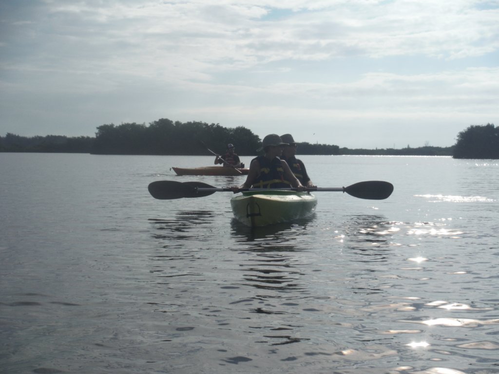 dscf1699.jpg