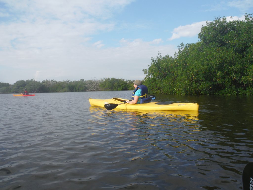 dscf1701.jpg