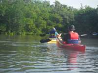 dscf1718_small.jpg