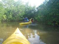 dscf1723_small.jpg
