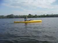 s0141653_small.jpg