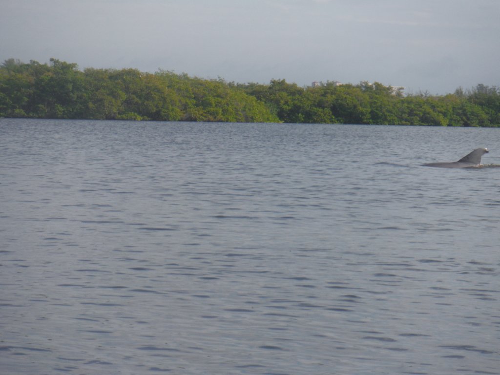 s0161673.jpg