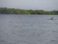 s0161674_small.jpg