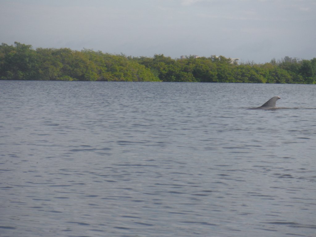 s0161675.jpg