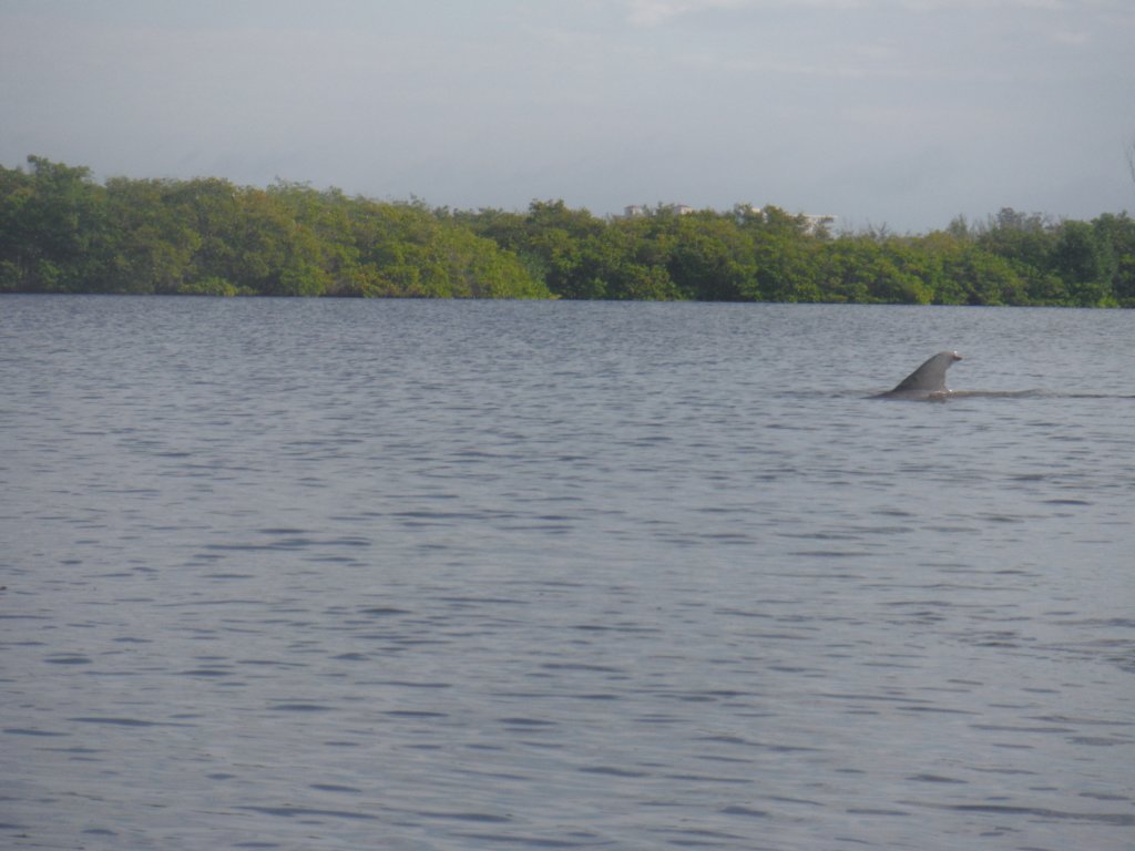 s0161676.jpg