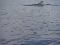 s0171680_small.jpg