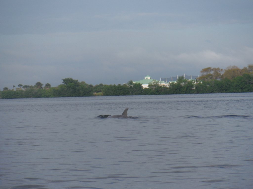 s0181689.jpg