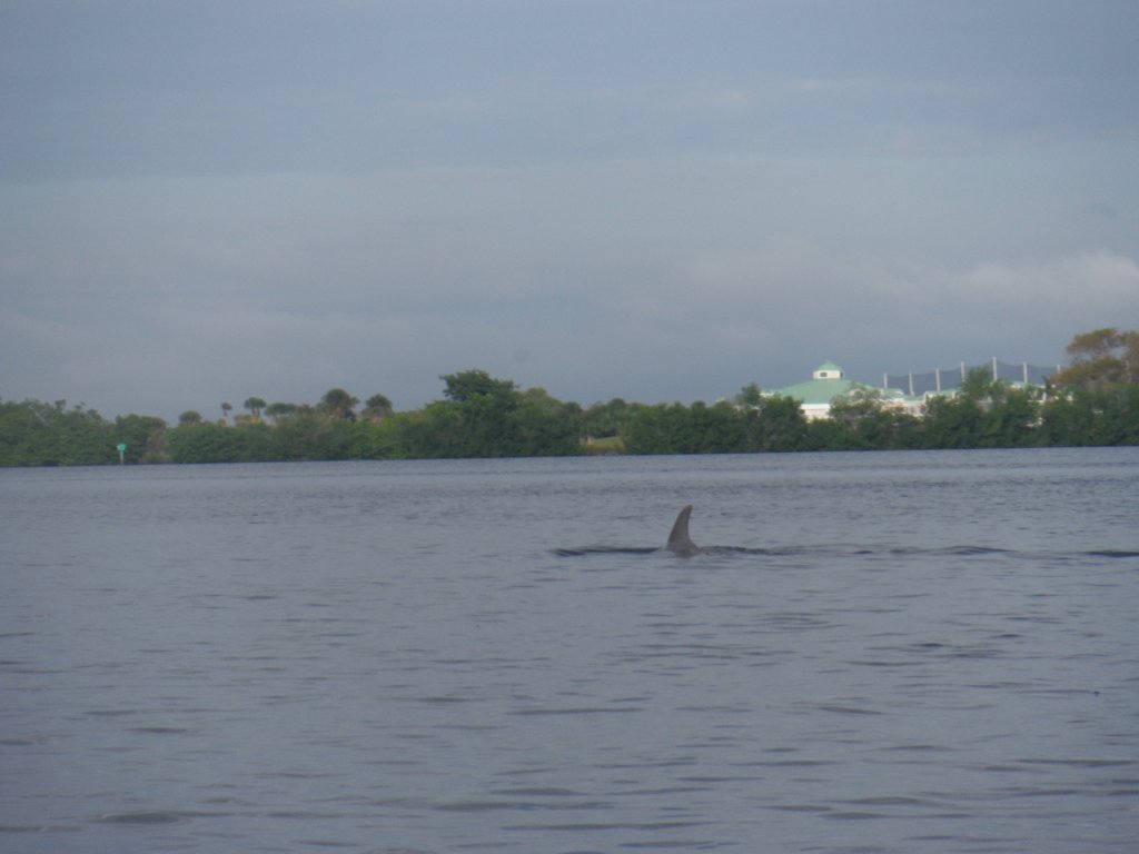 s0181692.jpg