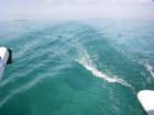 imgp0133_small.jpg