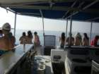 imgp0138_small.jpg