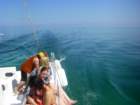 imgp0153_small.jpg