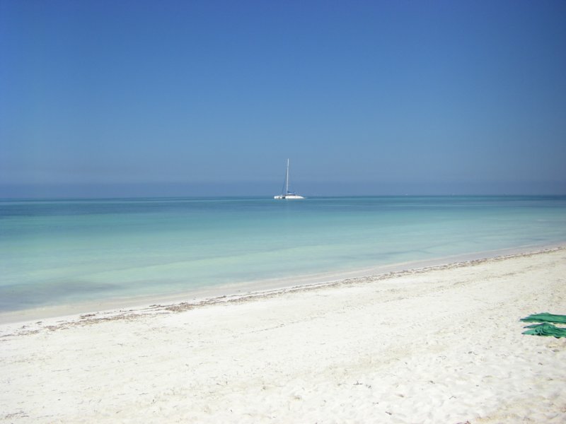 imgp0168.jpg