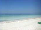 imgp0168_small.jpg