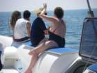 imgp0180_small.jpg