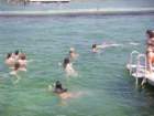 imgp0187_small.jpg
