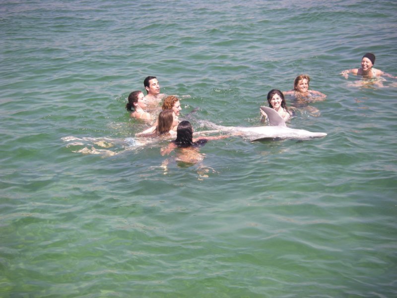 imgp0188.jpg