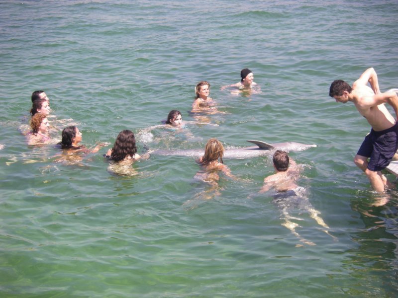 imgp0190.jpg
