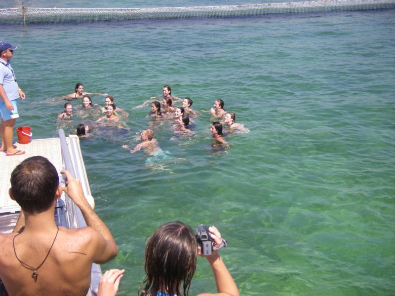 imgp0193.jpg