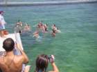 imgp0193_small.jpg