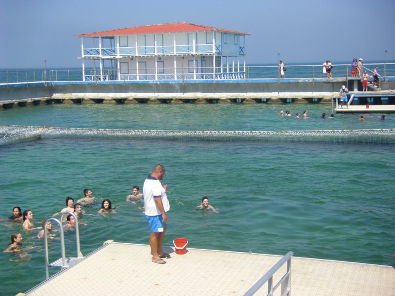 imgp0194.jpg